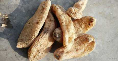 天麻的營養(yǎng)價值