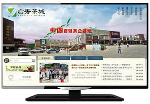 松江企業(yè)數(shù)字化轉(zhuǎn)型 一站式網(wǎng)站建設(shè)、維護與托管解決方案